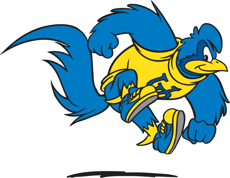 Delaware Blue Hens 1999-2009 Mascot Logo v5 diy DTF decal sticker